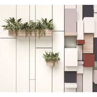 ФабрикаФресок Абстракция. Полки с Растениями 1153270 (300x270)