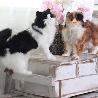 Hansa Сreation Кошка Бетти 6966 (62 см) Image #13