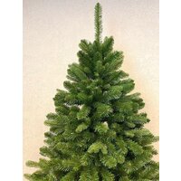 GreenTerra Рапсодия 2.2 м Image #6