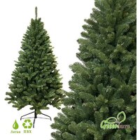 GreenTerra Рапсодия 2.2 м Image #8