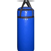 Спортивные мастерские SM-234, 25 кг (синий)