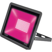 Uniel ULF-P42-100W-SPBR UL-00010385