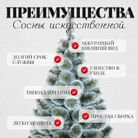 Erbis Темная с белыми кончиками 150 Image #5
