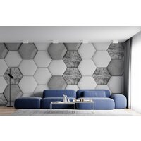 ФабрикаФресок Шестиугольники 645270 (500x270) Image #3