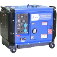 ТСС PRO DGW 3.0/250ES-R в кожухе Image #2