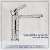 Lauter 21675 + Reef 21CK678C с сифоном 21635CH (хром) Image #4