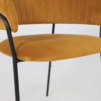 Алвест AV 433 (карри бархат Confetti chai tea/черный) Image #11