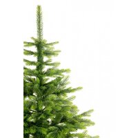 Erbis Swierk Natura 220 Image #6