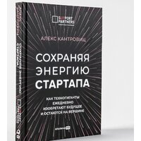 Альпина Диджитал. Сохраняя энергию стартапа (Кантровиц А.) Image #2
