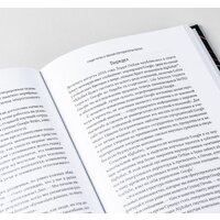 Альпина Диджитал. Сохраняя энергию стартапа (Кантровиц А.) Image #7