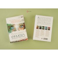 Эксмо. Оракул Шамана-мистика (64 карты и руководство для гадания в подарочном футляре) Image #6