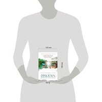 Эксмо. Оракул Шамана-мистика (64 карты и руководство для гадания в подарочном футляре) Image #4