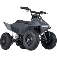 AVM Cybertruck Image #2