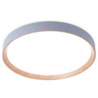 Ambrella light FZ1322 (серый/светлое дерево) Image #2