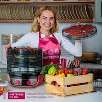 Мастерица EFD-2000 Image #8