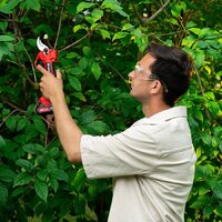 MTX BP-25 (с 1-им АКБ) Image #20