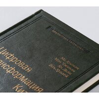 Альпина Диджитал. Цифровая трансформация Китая. Интеллектуальная литература (Хуатен М.) Image #4