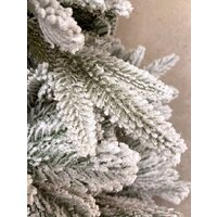 GreenTerra Онтарио (2.1м) Image #7