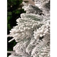 GreenTerra Онтарио (2.1м) Image #6