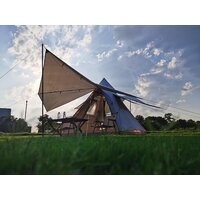 Sundays ZC-TT106 (коричневый/желтый) Image #13