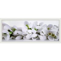 Декарт Белые цветы крокусы 8Л0554