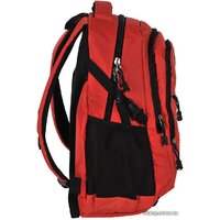 Paso 22-30060OG Image #3