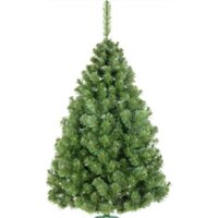 Erbis Sosna Сибирская 150