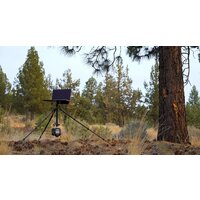 3 Legged Thing Punks Billy Image #10