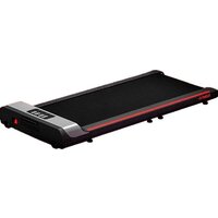 Perfetto Sport Libro PS-802