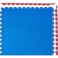 DFC ППЭ-2040 12283 (синий/красный)