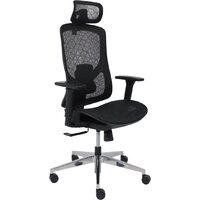 AksHome Magnus (сетка, черный/алюминий)