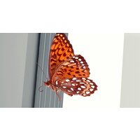 ФабрикаФресок 3D Абстракция. Бабочки. Колонны и Розы 1034270 (400x270) Image #2