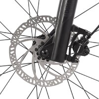 Stinger Genesis Std р.22 2024 Image #8