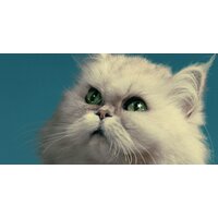 ФабрикаФресок Кот на крыше 473270 (300x270) Image #2