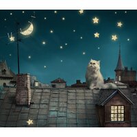 ФабрикаФресок Кот на крыше 473270 (300x270)