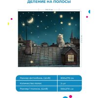 ФабрикаФресок Кот на крыше 473270 (300x270) Image #6