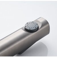 Rose R1805T-1 Image #11