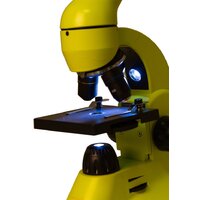 Levenhuk Rainbow 50L (лайм) 69049 Image #9