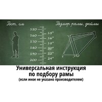 Forward Acid 27.5 Q-350 FR р.16.5 2024 (белый/бирюзовый) Image #2