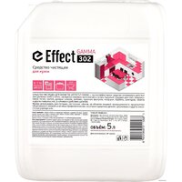 Effect Гамма 302 5 л