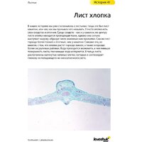 Levenhuk N80 NG Увидеть все! 29280 Image #22