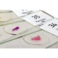 Levenhuk N80 NG Увидеть все! 29280 Image #6