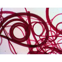 Levenhuk N80 NG Увидеть все! 29280 Image #9