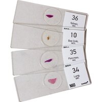 Levenhuk N80 NG Увидеть все! 29280 Image #5