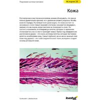 Levenhuk N80 NG Увидеть все! 29280 Image #21