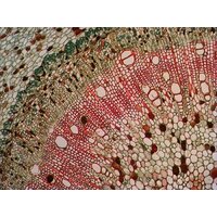 Levenhuk N80 NG Увидеть все! 29280 Image #12