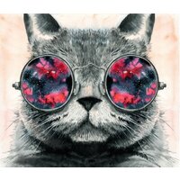 ФабрикаФресок Кот в очках 543270 (300x270)