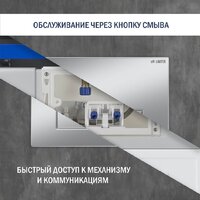 Lauter 21901001 с кнопкой 219703HD (сатин) Image #6