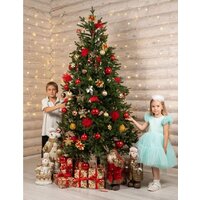 National Tree Company Форест Фор-220 (220 см) Image #14