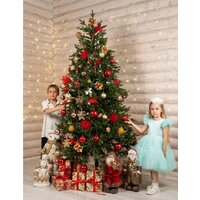 National Tree Company Форест Фор-220 (220 см) Image #13